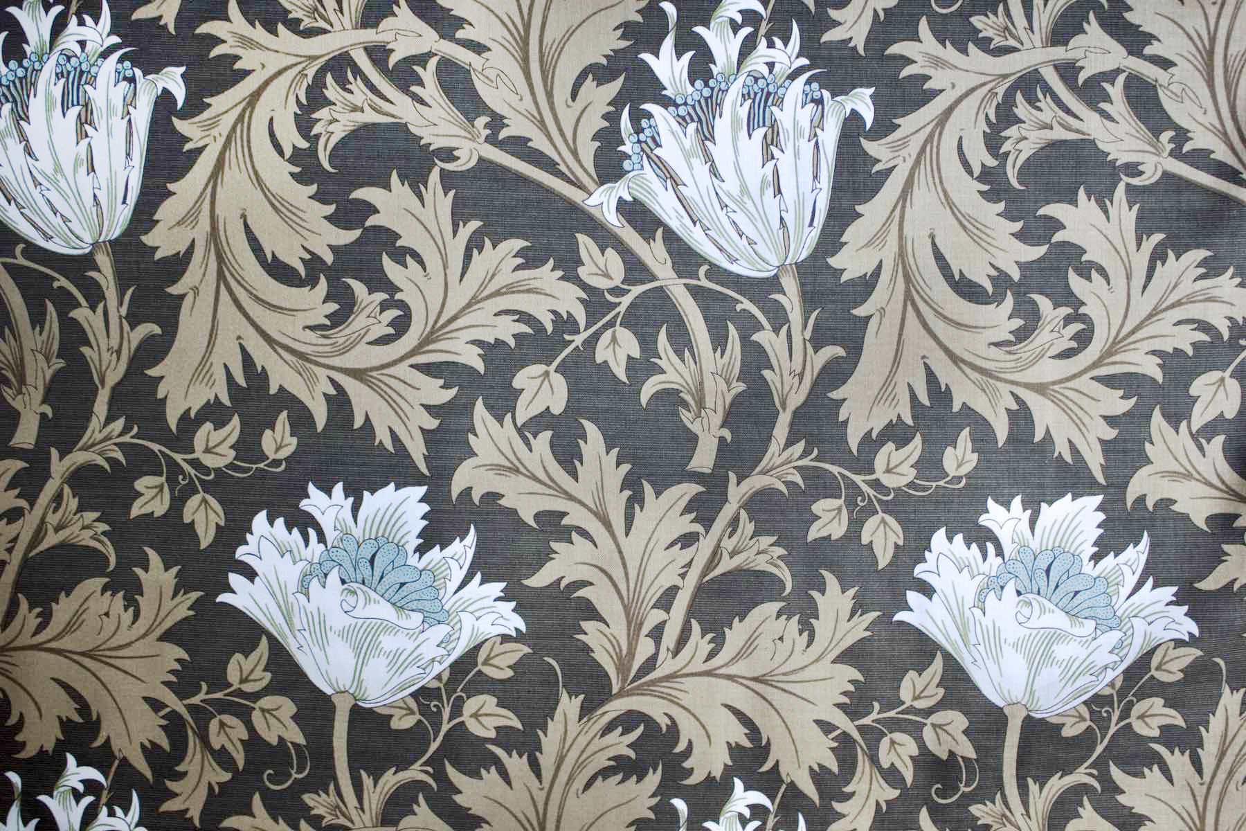 Ji Morris アネモネ<br />焦茶